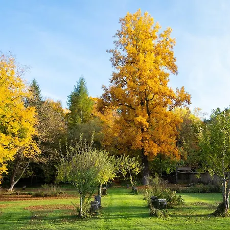 Chateau De Choloy